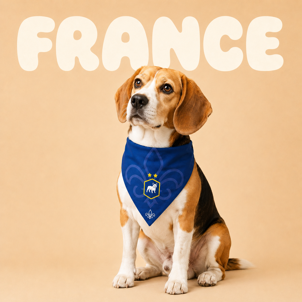 Fan Dog Bandana France Style, Elegant Triangle Scarf for Women, Perfect Accessory for Any Occasion, French Fashion Trendsetter
