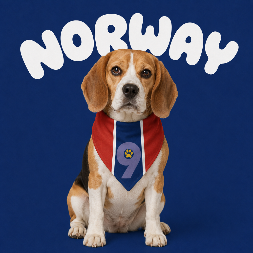 Fan Dog Bandana Norway Design, Stylish Accessory for Everyday Wear, Perfect Gift Idea, Versatile Fashion Item for All Seasons