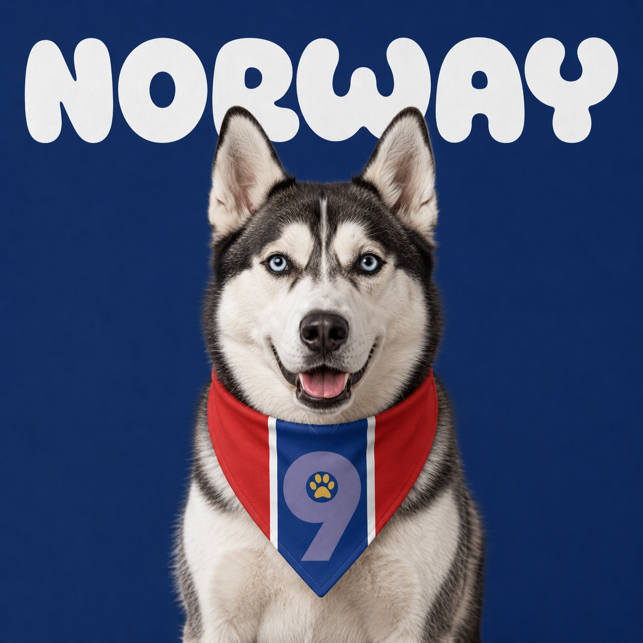 Fan Dog Bandana Norway Design, Stylish Accessory for Everyday Wear, Perfect Gift Idea, Versatile Fashion Item for All Seasons